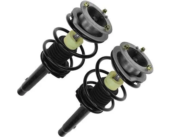 TRQ Front Strut & Coil Spring Assembly Set