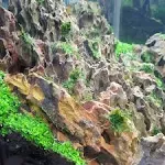 Lifegard Aquatics Dragon Songpi Ohko Rock 25 Gallon Kit