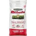 Pennington The Rebels 40-lb Tall Fescue Grass Seed