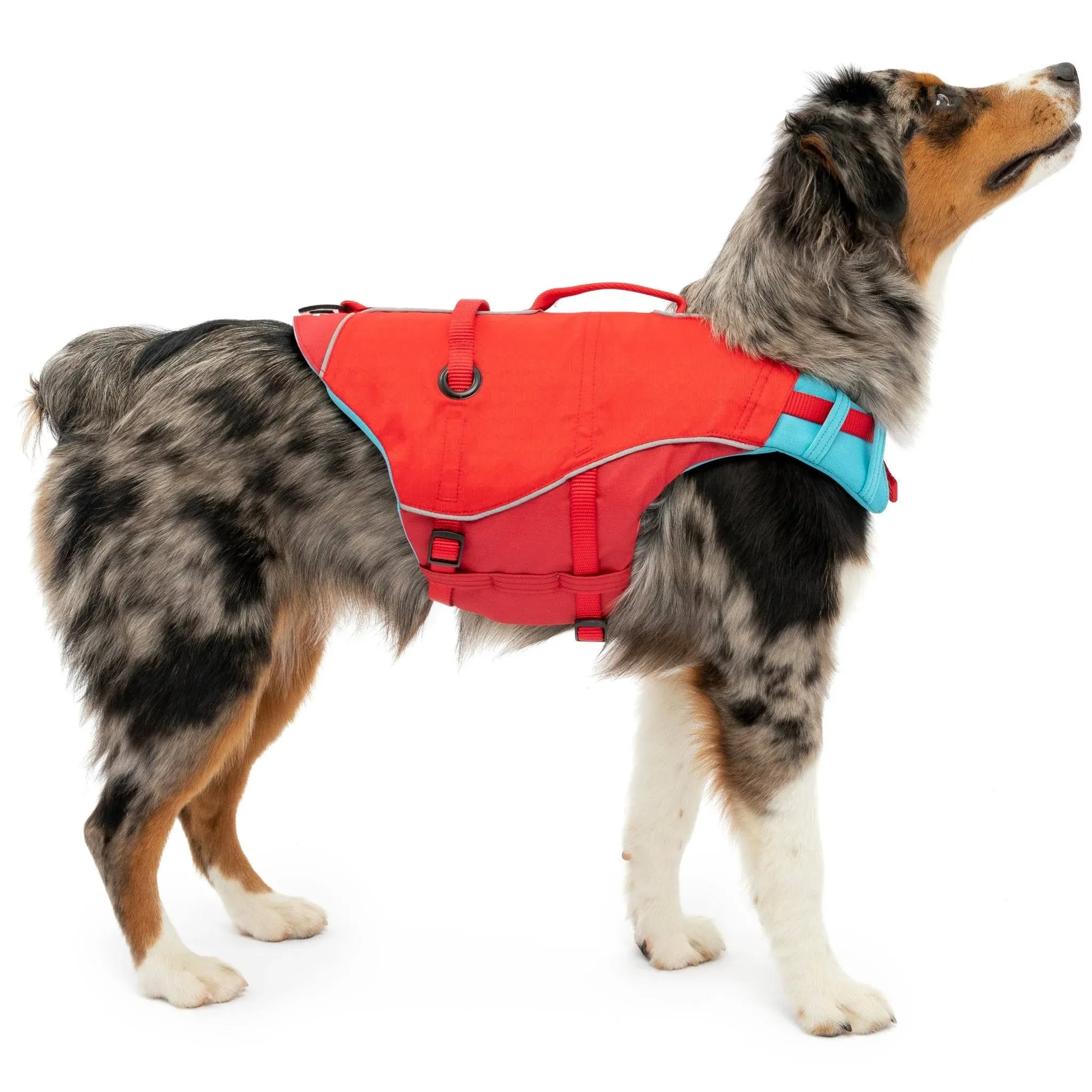 Kurgo Surf N Turf Dog Life Jacket