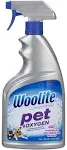 Woolite Pet Stain & Odor Remover + Oxy