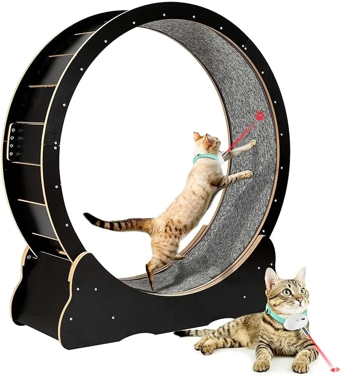 Cat Exercise Wheel for Indoor Cats, Diameter 39.4'' Large Cat Running Wheels, Ea