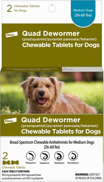 Quad Dewormer for Medium Dogs