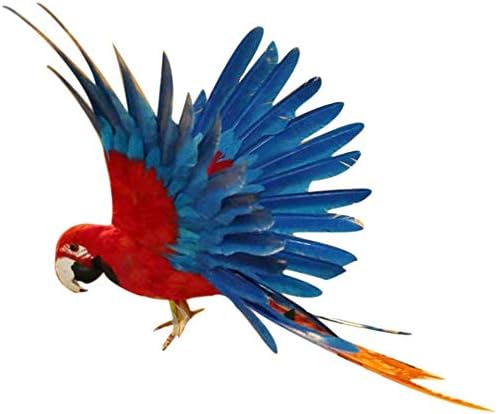 Taotenish Artificial Birds Lifelike Feathered Birds Model Artificial Birds ...