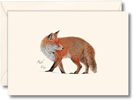 Earth Sky + Water - Red Fox Notecard Set - 8 Blank Cards with Envelopes