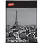 Staples 18" x 24" Aluminum Poster Frame