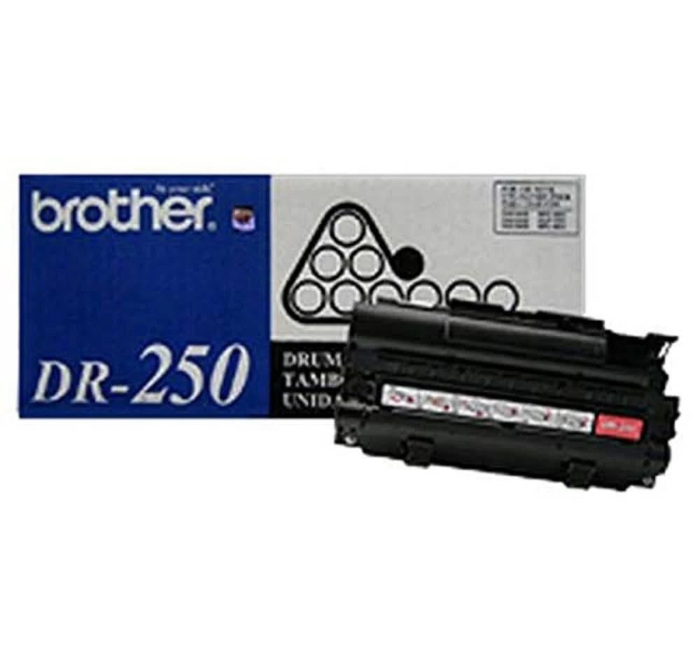 Brother DR250 Replacement Drum Unit - 12000 - 1 Each