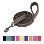 Chai's Choice - Premium Outdoor Adventure Dog Leash - Padded, 3M Reflective Leash ...