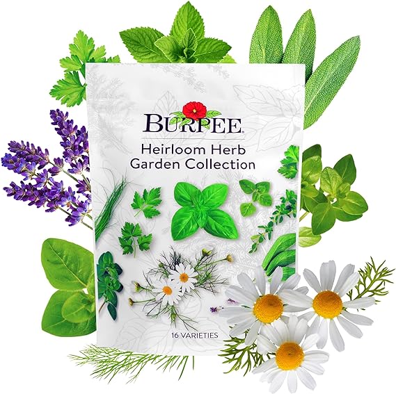 Burpee Heirloom Herb Seeds Variety Pack, Non-GMO, 16 Herbs - 15,000+ Seeds with Basil, Chives, Catnip, Chamomile, Cilantro, Dill, Lavender, Oregano,