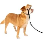 PetSafe Petite Black Gentle Leader Dog Headcollar