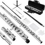 POGOLAB Flute, Closed-Hole C Flute 16 Keys, Student Flute with Split E & Offset-G, with Flute Case/Flute Cleaning Kit/Probe Rod/Gloves/Grease, Nickel