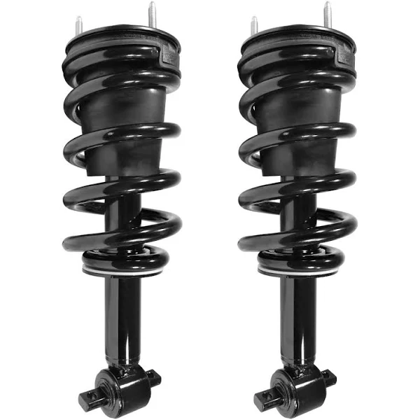 Unity® 2-11580-001 Front, Driver or Passenger Side Loaded Strut - Set of 2