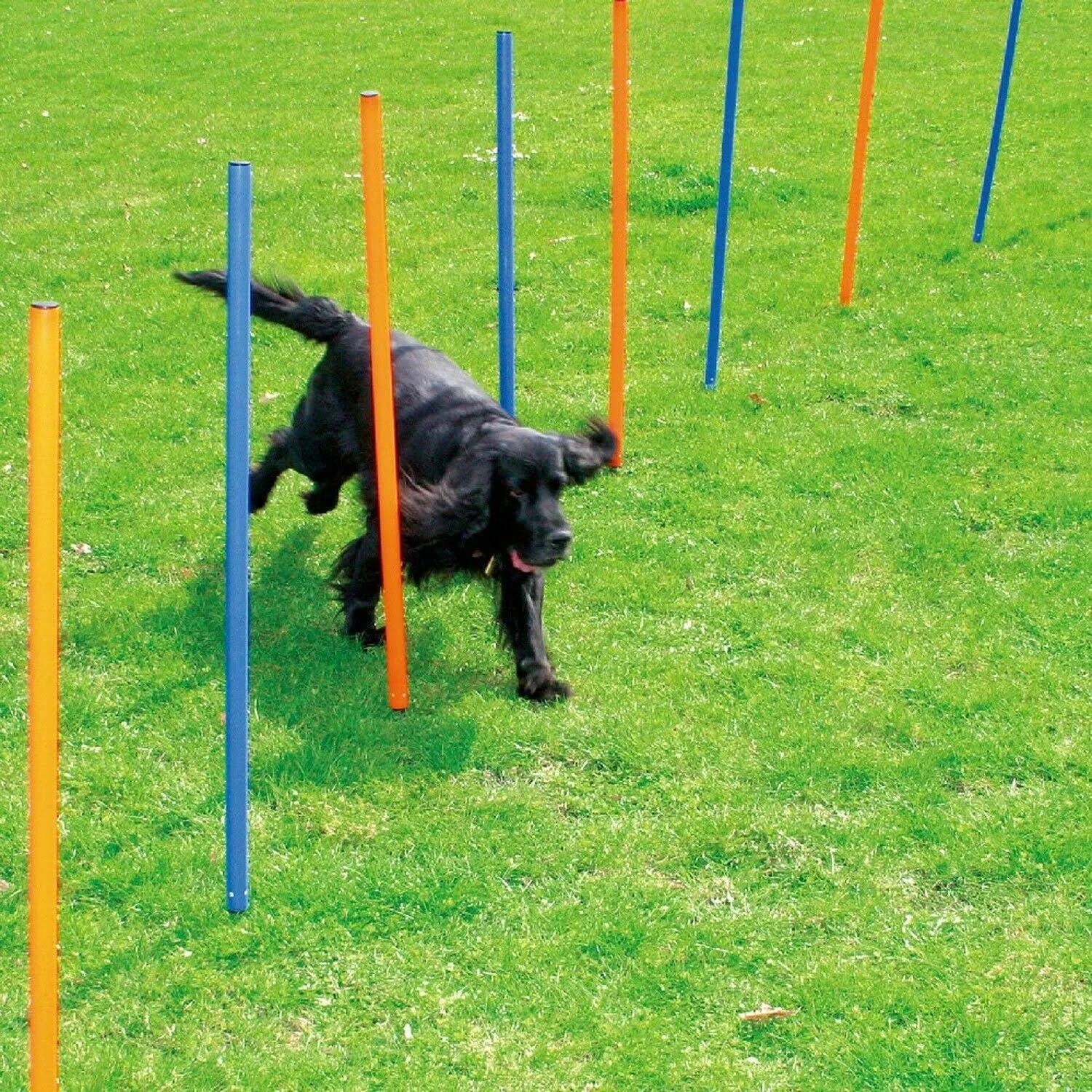 PAWISE Dog Training Exercise Equipment,Dog Agility Training Equipment,12pcs Weave Poles Playground Equipment Outdoor