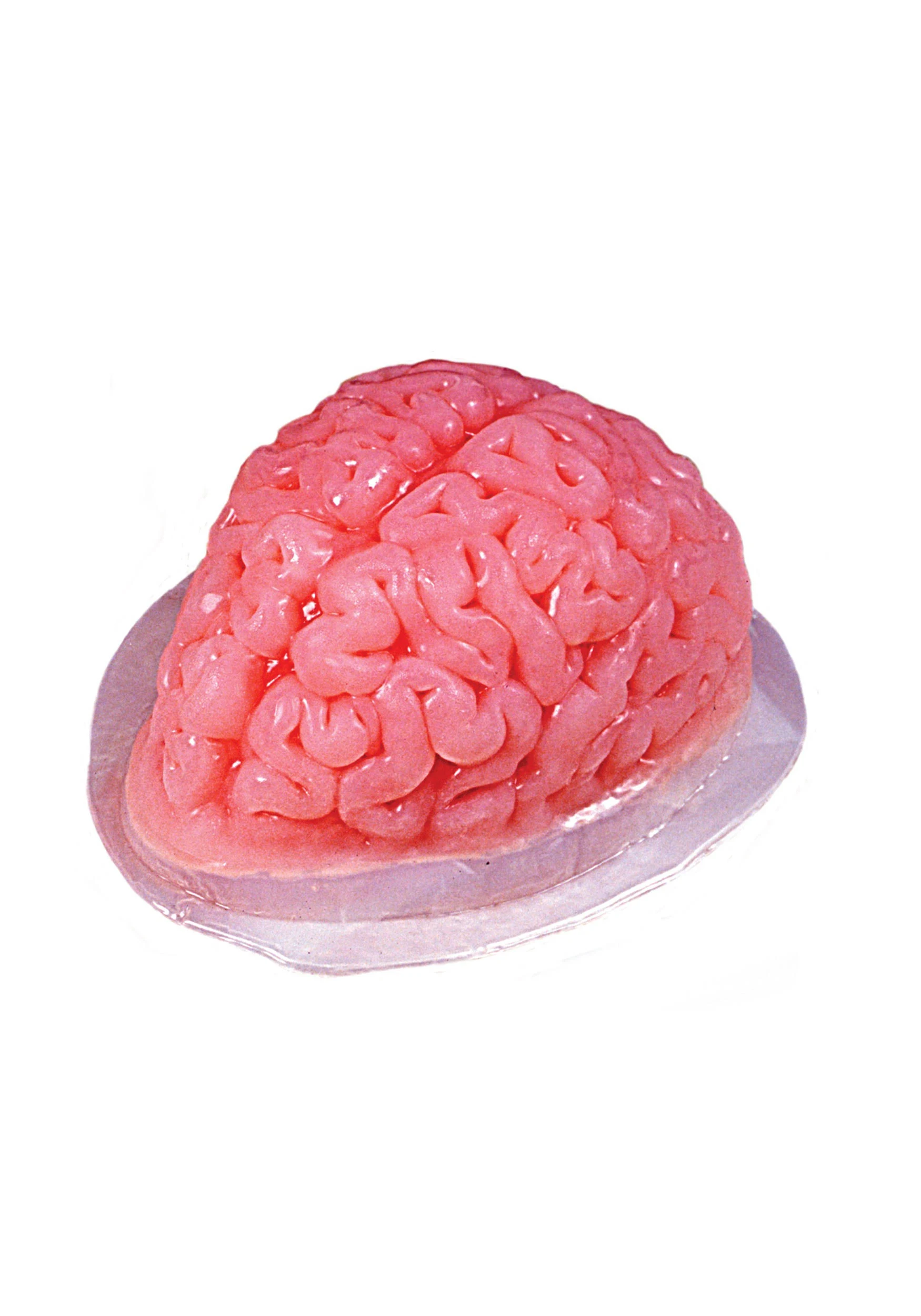 Fun World Brain Shaped Plastic Gelatin Mold