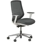 Versatile Desk Chair with Adjustable Lumbar Support | adamsbargainshop