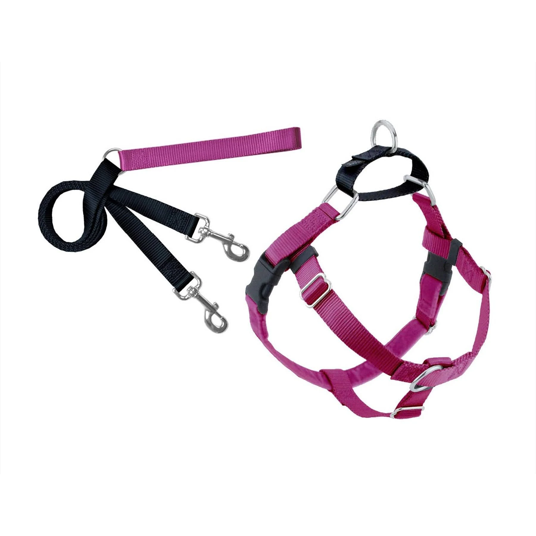 Raspberry Freedom No-Pull Dog Harness