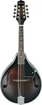 Ibanez M510 Mandolin - Dark Violin Sunburst High Gloss