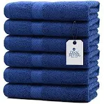 DAN RIVER Luxury Hand Towels Set Pack of 6 (16x28 in) 100% Ring Spun Cotton, Ultra Soft, Lightweight and Highly Absorbent, Perfect for Salon, Spa, Gym, Shower, Hotel and Bathroom, 500 GSM – Aqua