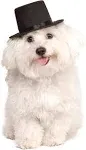 Top Hat Pet Costume