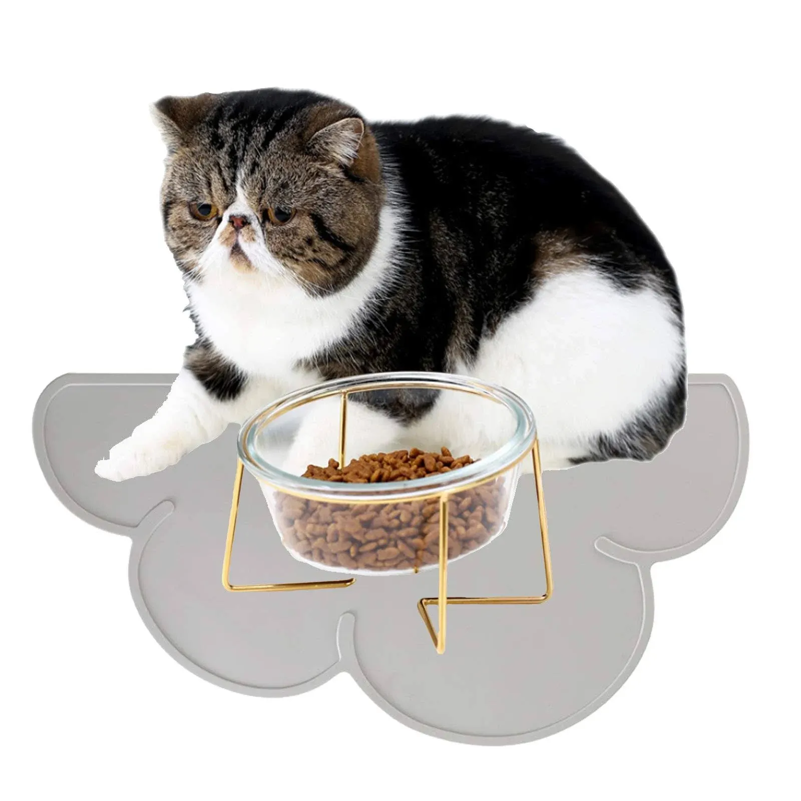 Glass Raised Cat Bowls or Small Dog Dishes with Gold Metal Stand 33.5 Ounces ...