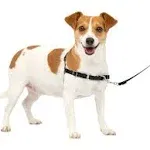 PetSafe Easy Walk Harness- Small, Black/Silver