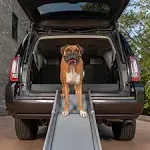 Happy Ride™ Compact Telescoping Dog Ramp