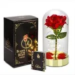 Glass Dome Red Rose Gift for Women Birthday Gift - Pre-Lit Red Velvet Rose in Gl