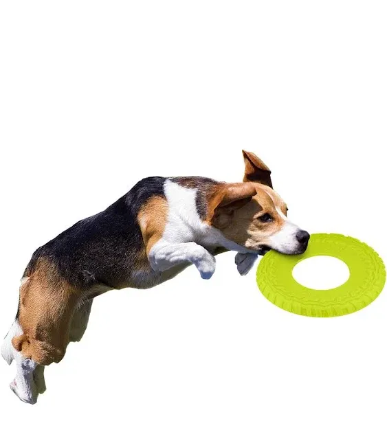 Nerf Large Flyer Dog Toy