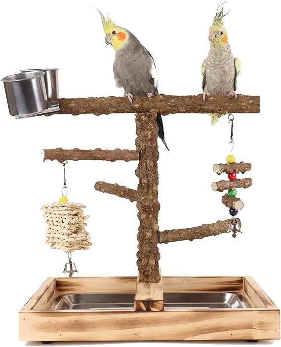 Natural Wood Parrot Stand - Ideal Toy &amp; Accessory for Parakeets Canaries Cock...