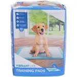 Pet All Star Training Pads, 50 Count 22" x 22"