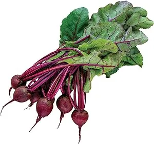 Detroit Dark Red Medium Top Beet Seeds - Made in USA, Ships from Iowa. (1,000 Seeds)