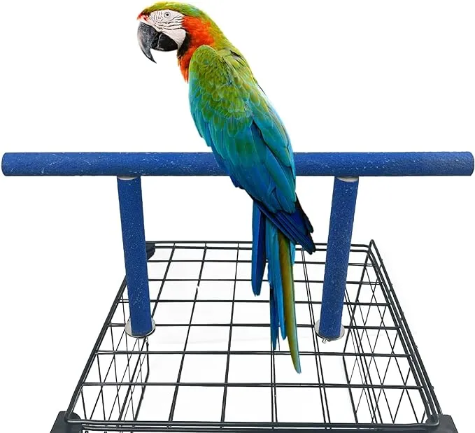 Bird Perch Stand Quartz Sands Bird Cage Top Play Perch Gym Bird Stick Paw Gri...