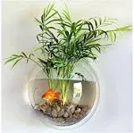 Hanging Wall Mounted 1 Gallon Fish Tank Bowl Aquarium Wall Decor Plant Fish Bubble - Clear (Large)