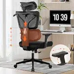 Ergonomic Office Desk Chair with Adjustable Lumbar Support, Computer Gaming Chai