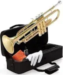 Mendini By Cecilio Bb Trumpet w/Case, Cloth, Oil