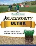 Jonathan Green (10321) Black Beauty Ultra Grass Seed - Cool Season Lawn Seed (3 lb)