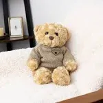 Large Teddy Bear Cremation Urn