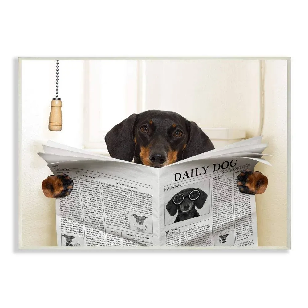 Stupell Industries Dog on Toilet Newspaper Funny Animal Pet Design Photography ...