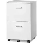 DEVAISE 2 Drawer File Cabinet, Mobile Printer Stand, Wood Filing Cabinet fits...