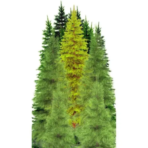 Tree Group Forest Cardboard Cutout Standee Standup