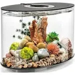 biOrb Black Loop 15 Aquarium with Standard Light, 4 Gallon