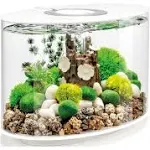 biOrb Loop 15 Aquarium with Standard Light 4 Gallon White