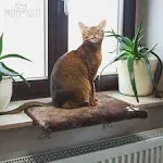 Pretty Kitty Cat Window Bed