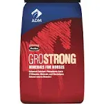 ADM Animal Nutrition 641BT Horse Vitamins/Minerals Granular