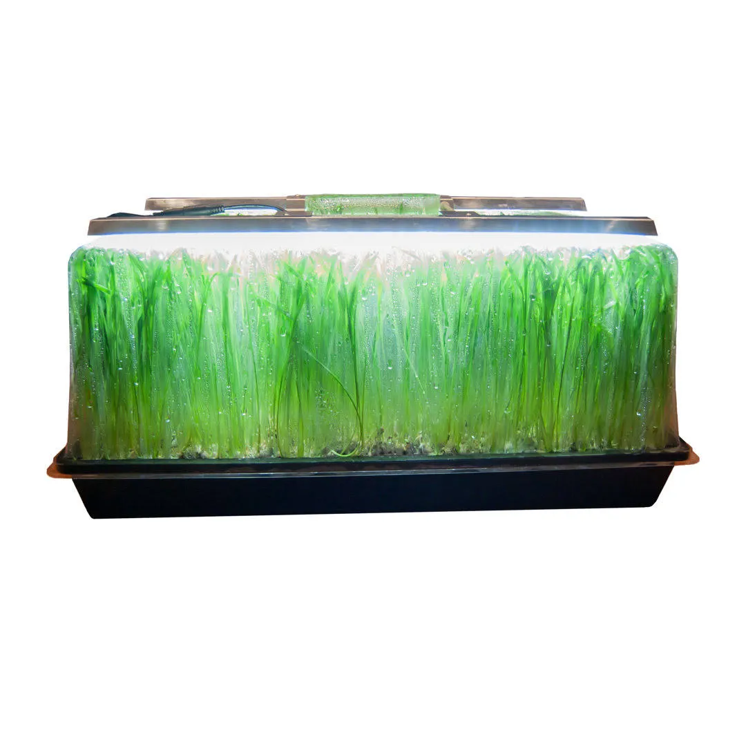 Viagrow Seedling Station Kit with LED Grow Light, Propagation Dome 4X Durable Propagation Tray & Coir