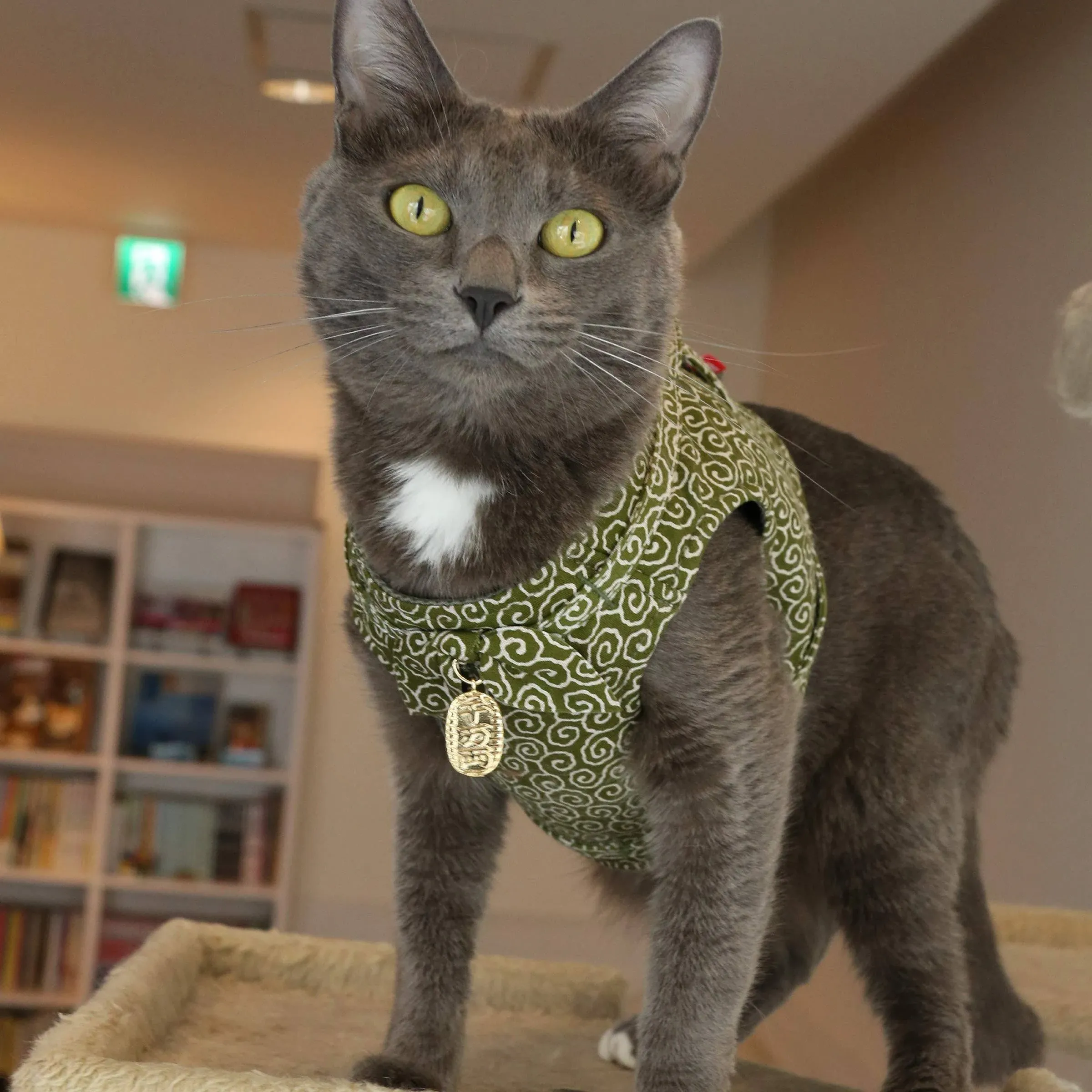 Ninja Cat Harness - Green