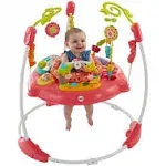 Fisher Price Pink Petals Jumperoo