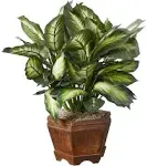 Nearly Natural Triple Golden Dieffenbachia with Wood Vase, Green, 20" x 18" x 22"