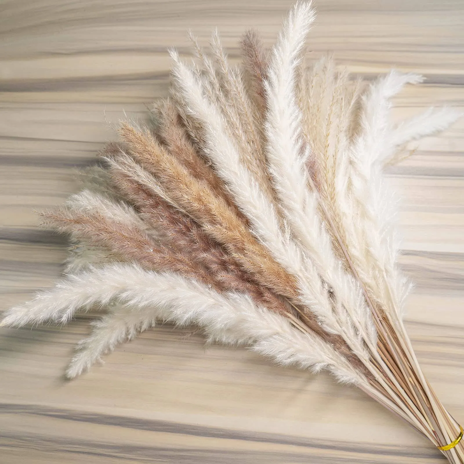 euokrpf 60pcs Natural Dried Pampas Grass,20 Pcs White Pampas &amp; 20 Pcs Brown 3B