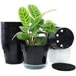 RooTrimmer 20 Pack 6 Inch Plant Pots